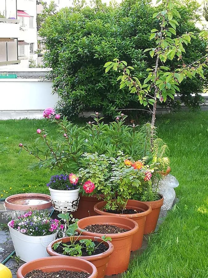 Bed&Breakfast Chur Exterior foto